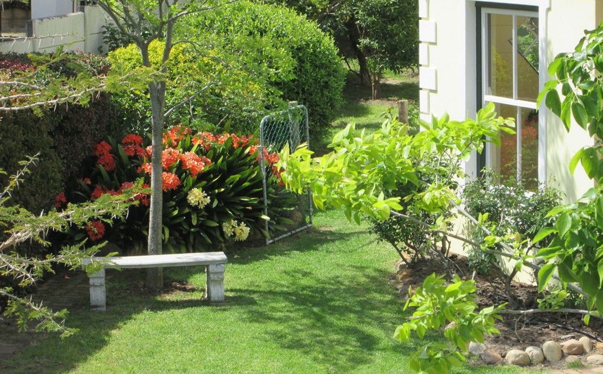 Villa-Roux Garden Cottage Franschhoek Kültér fotó
